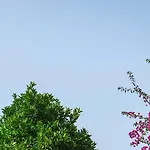 Resort Venus